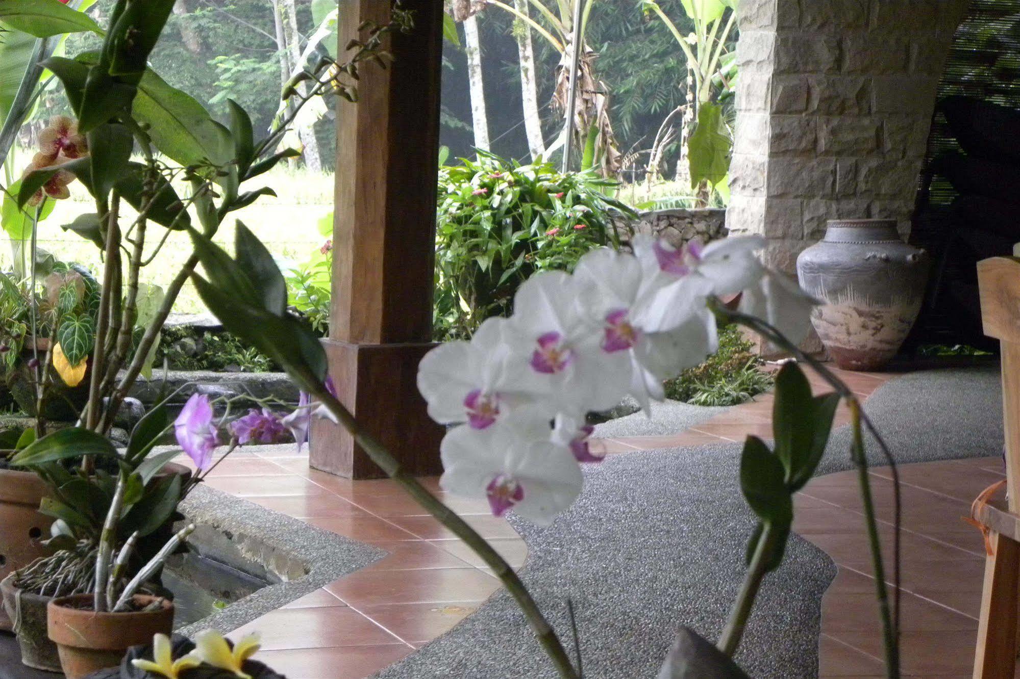 Saudara Home Ubud Exterior foto